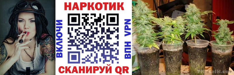 Как найти закладки Шумиха COCAIN Метамфетамин ГАШИШ Конопля МЕФ