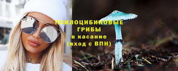 шишки Алексеевка