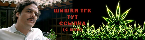 прущие крисы Абаза