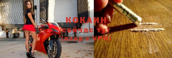 твердый Алексин