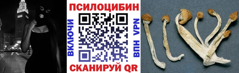 Галлюциногенные грибы Psilocybine cubensis  Шумиха 